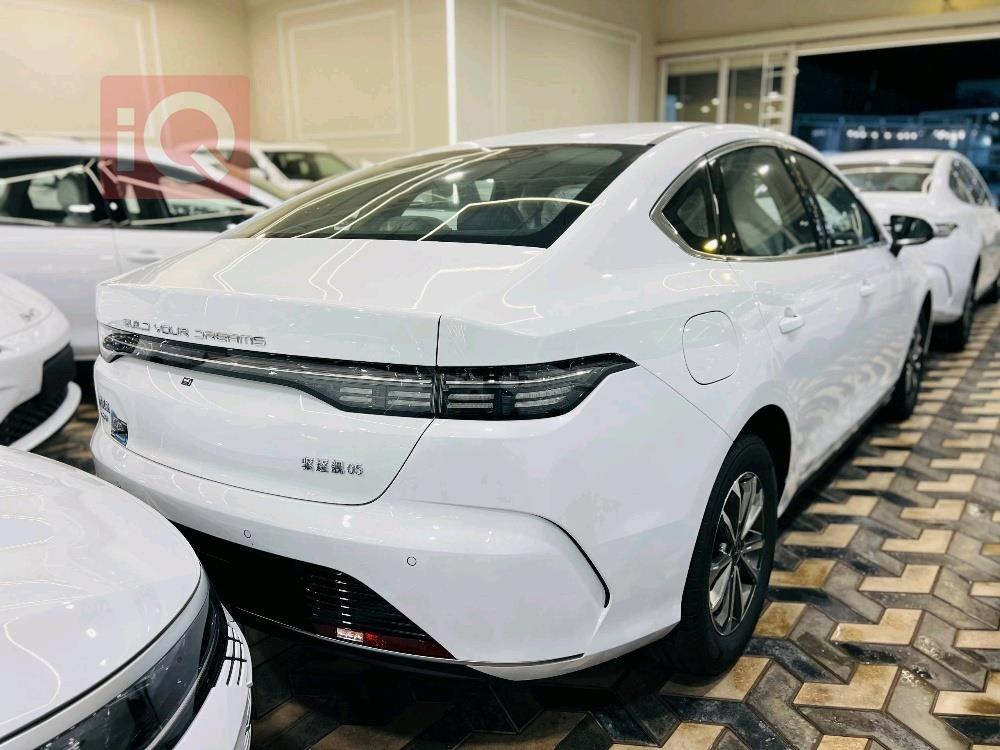 بي واي دي ديستروير 05